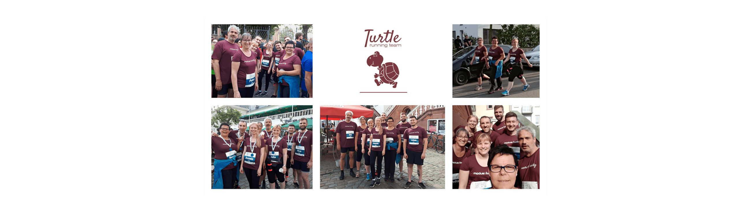 Turtle Running Team